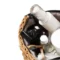 Health & Beauty