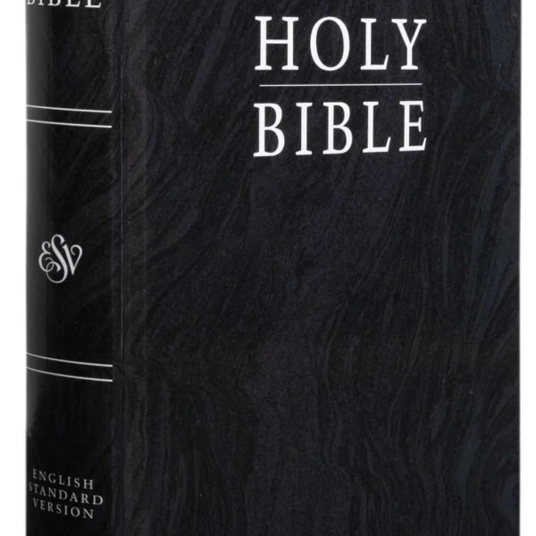 Holy Bible (Standard English)